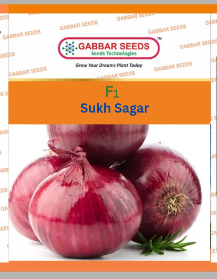 F1-Sukh-Sagar